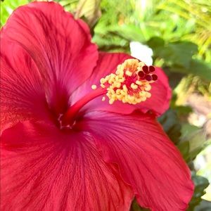 Meet your Posher, Reese